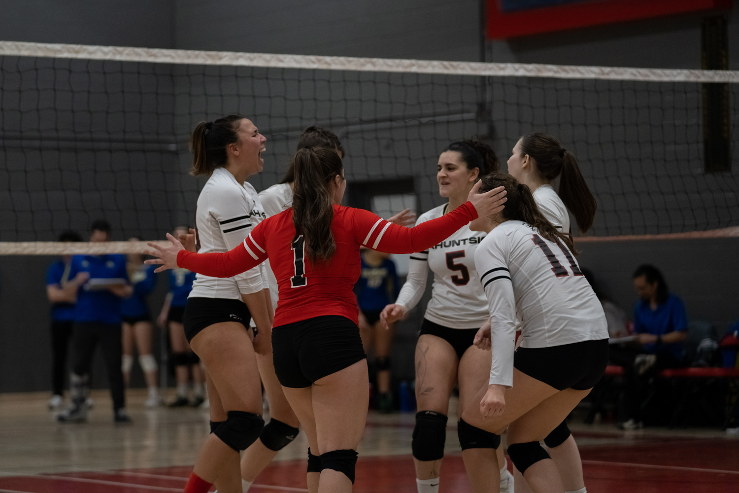 Volleyball feminin