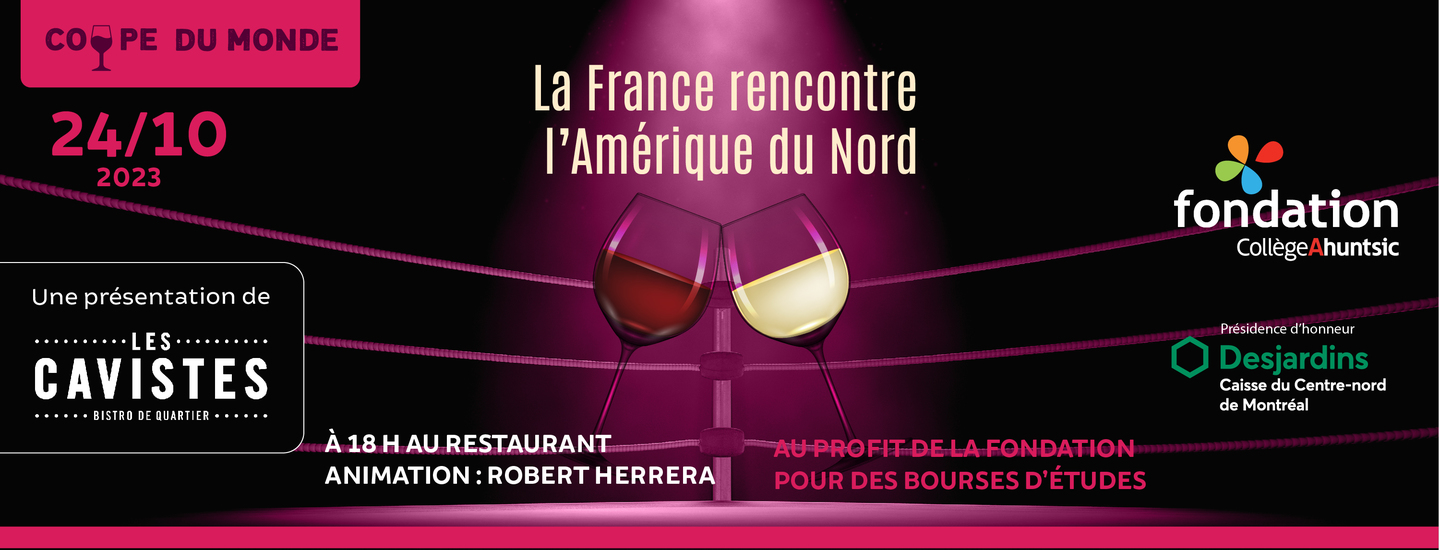 Fondation - carrousel DVM A23