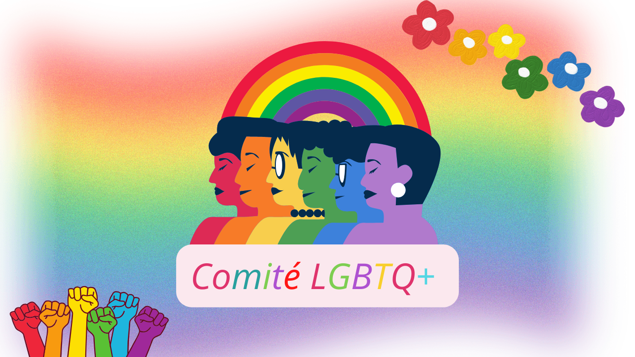 Comité LGBTQ+