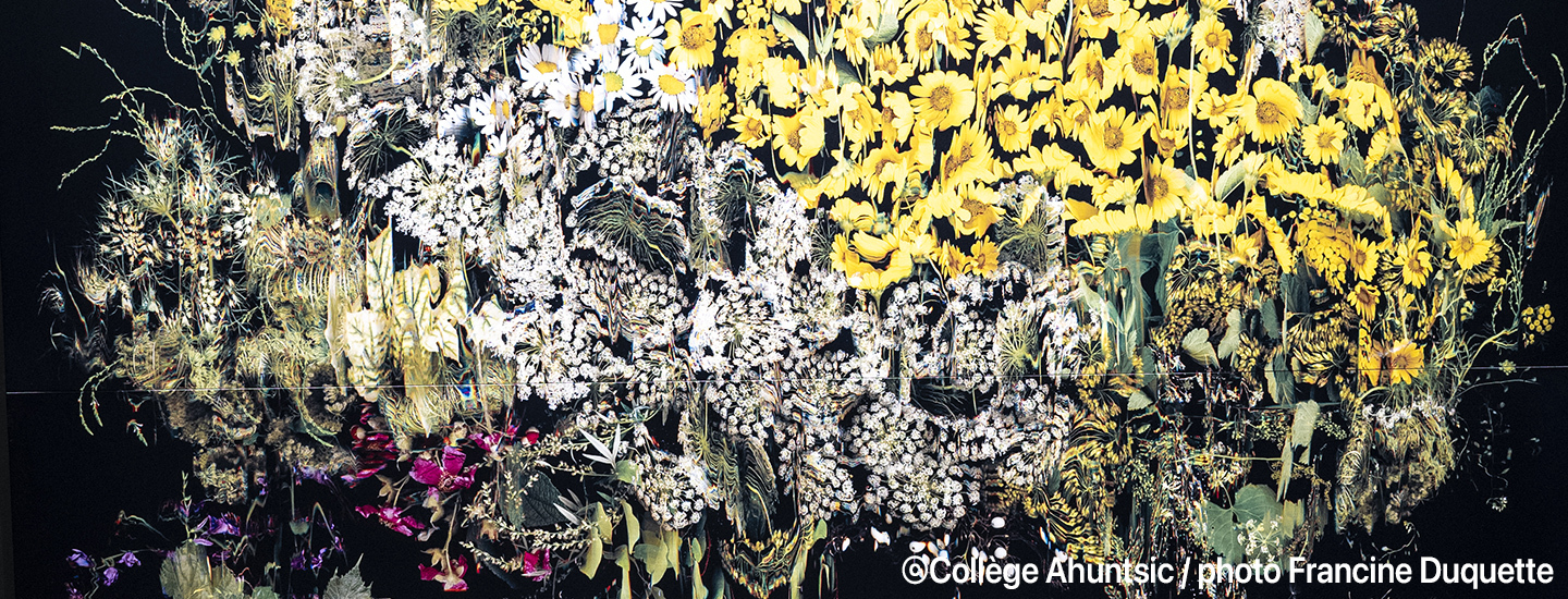 Katherine Melançon - 1440x550 2