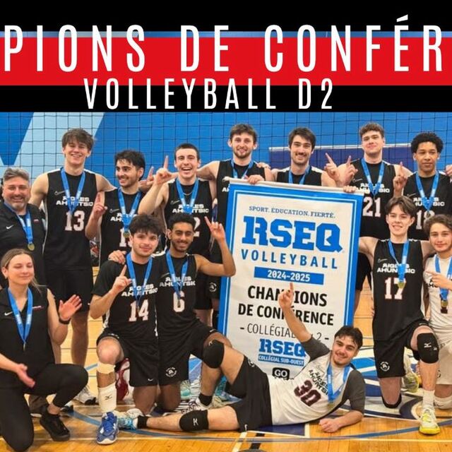 DAE_Volley2025