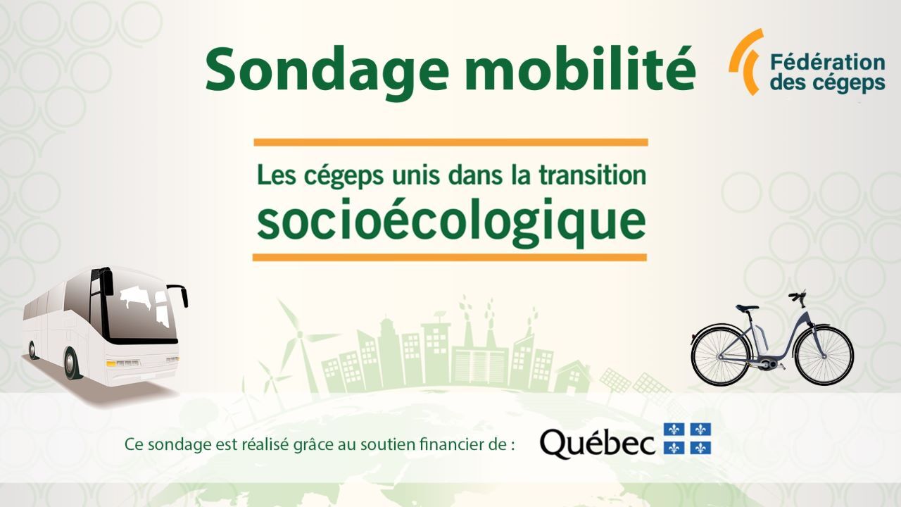 DAE_sondage mobilite_2025