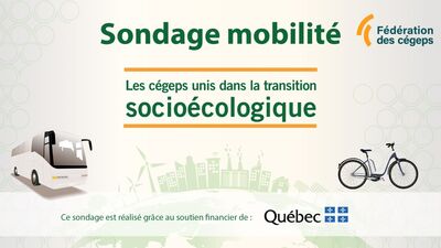 DAE_sondage mobilite_2025