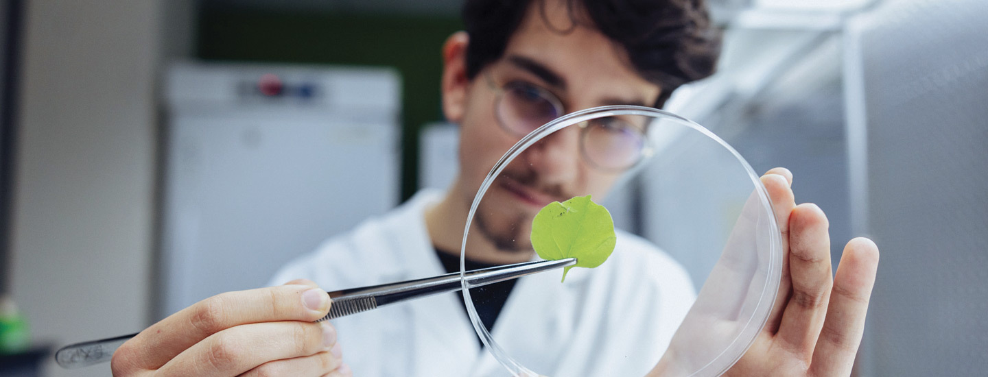 Bandeau - Biotechnologie (Guide 2025-2026)