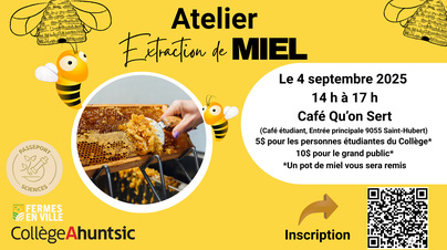 Extraction de miel - 4 septembre