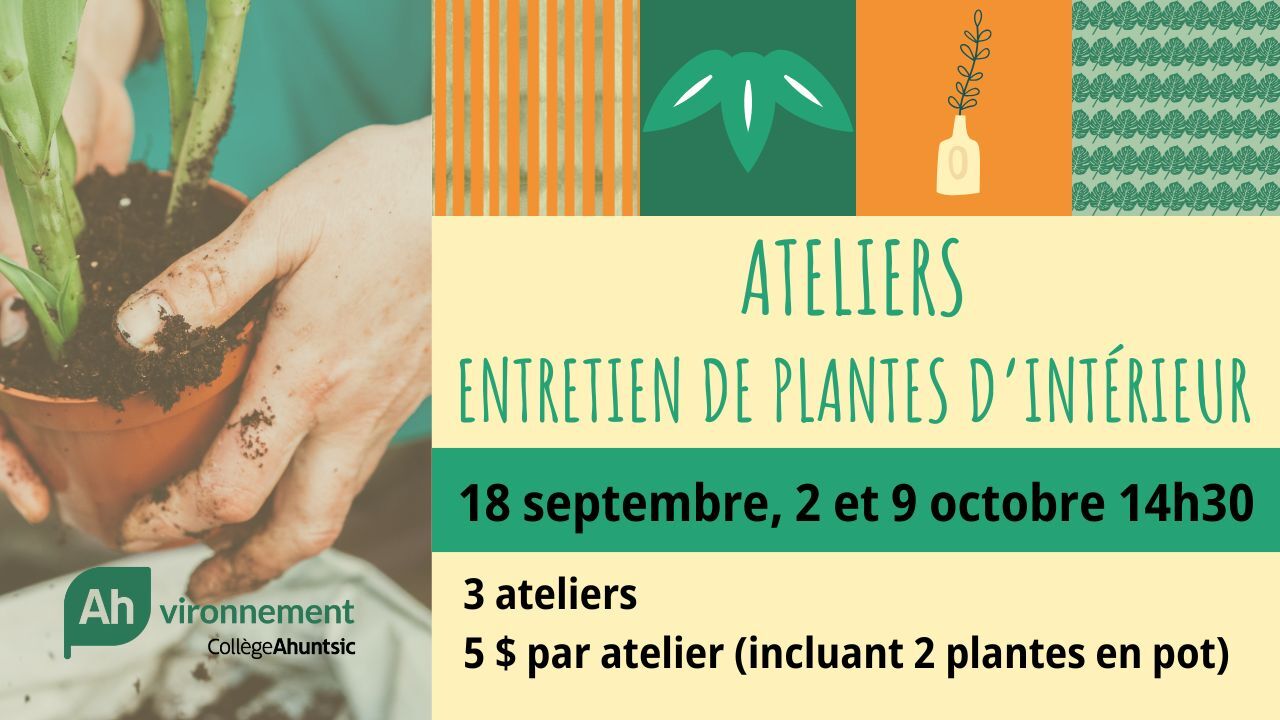 DAE_Enviro_plantesA25