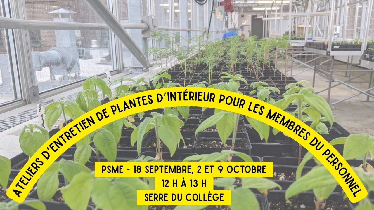 DAE_Plantes interieurPSME_A25