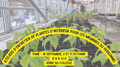 DAE_Plantes interieurPSME_A25