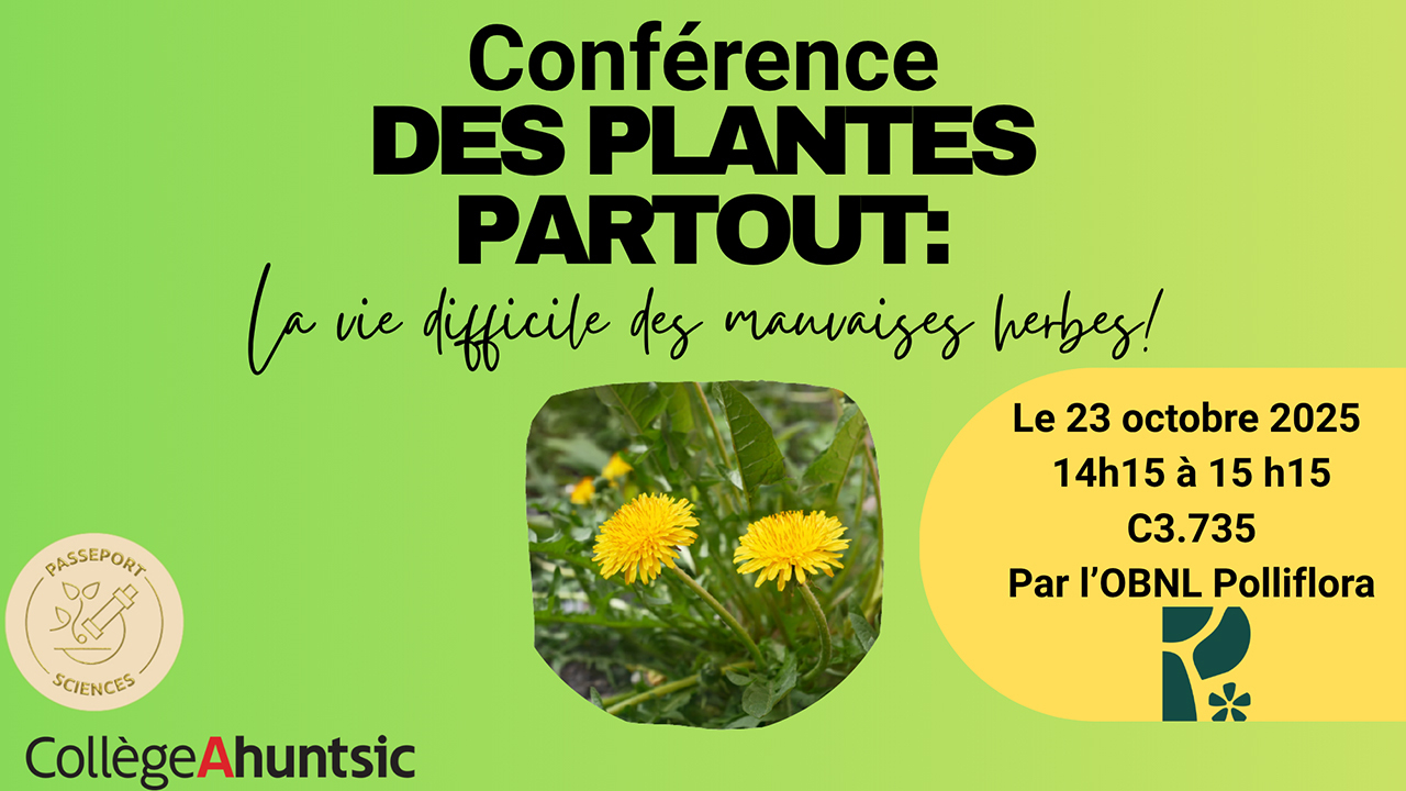 Des plantes partout