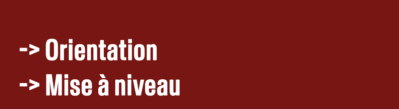 Orientation et Mise à niveau