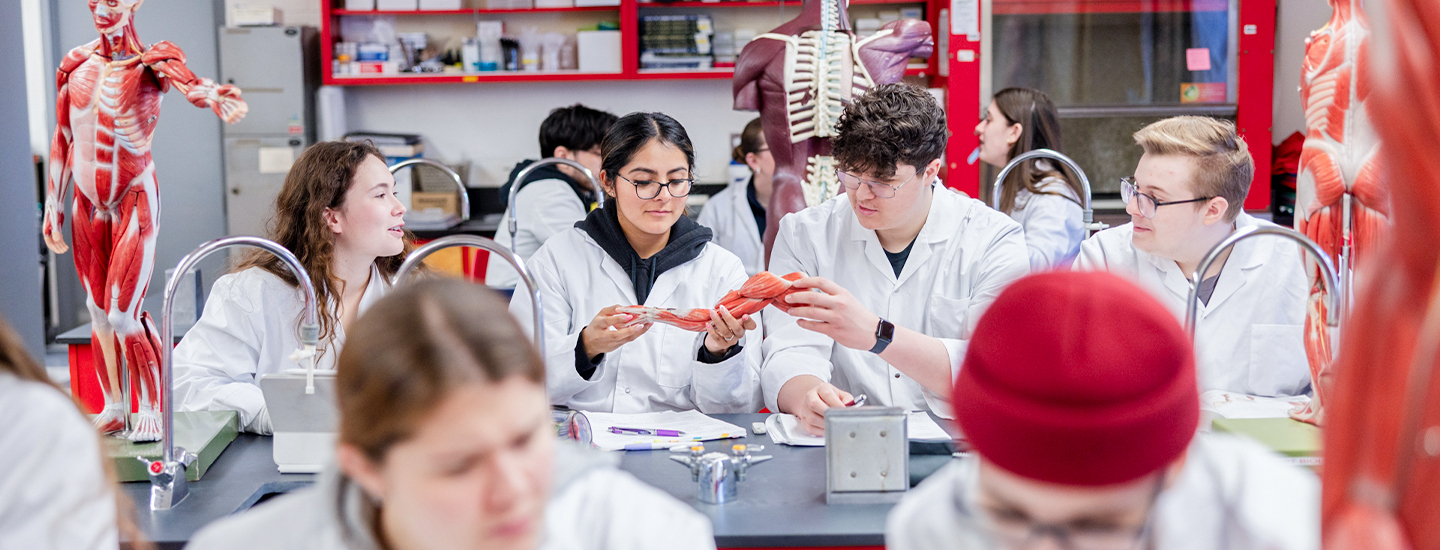 Sciences de la santé et de la vie - Laboratoire 4