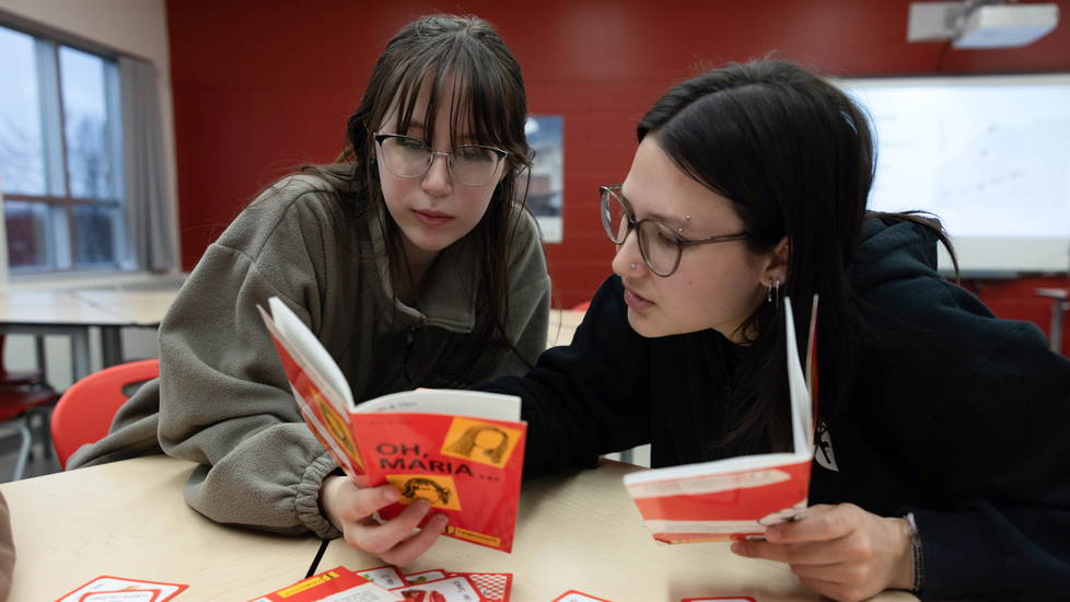 Avantage - Langues - Maîtrise de 3 langues