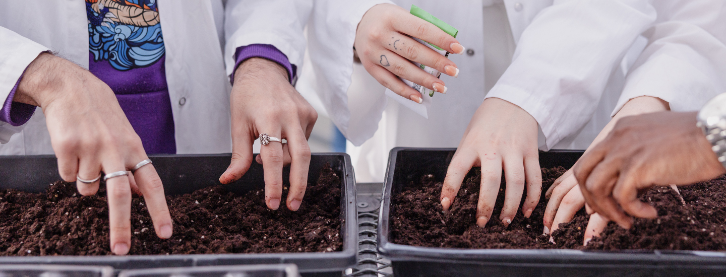 Agriculture urbaine 4 - février 2026