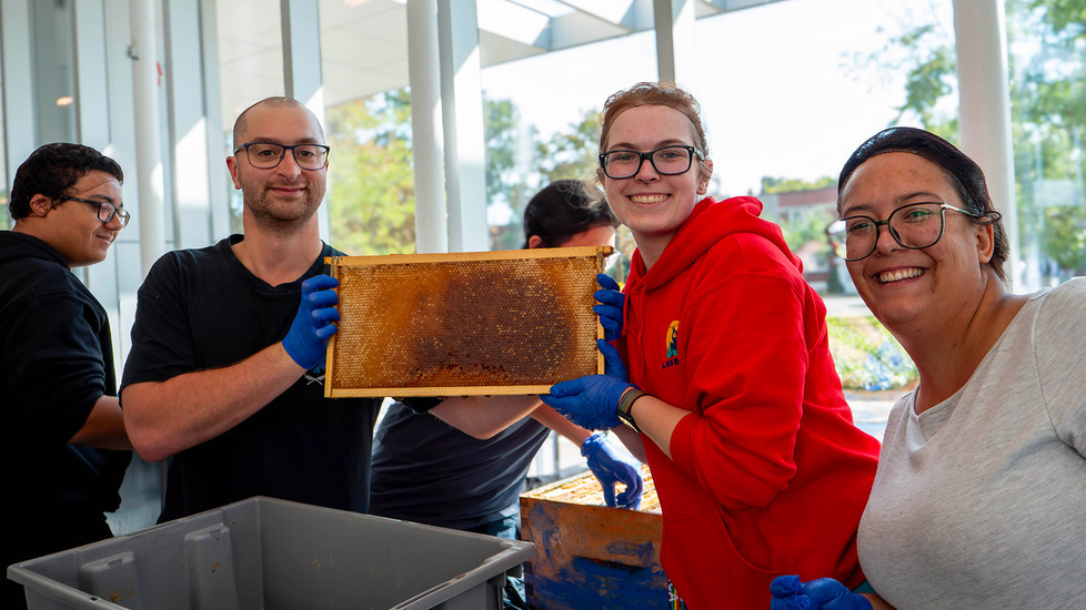 Avantage - Agriculture urbaine - Miel