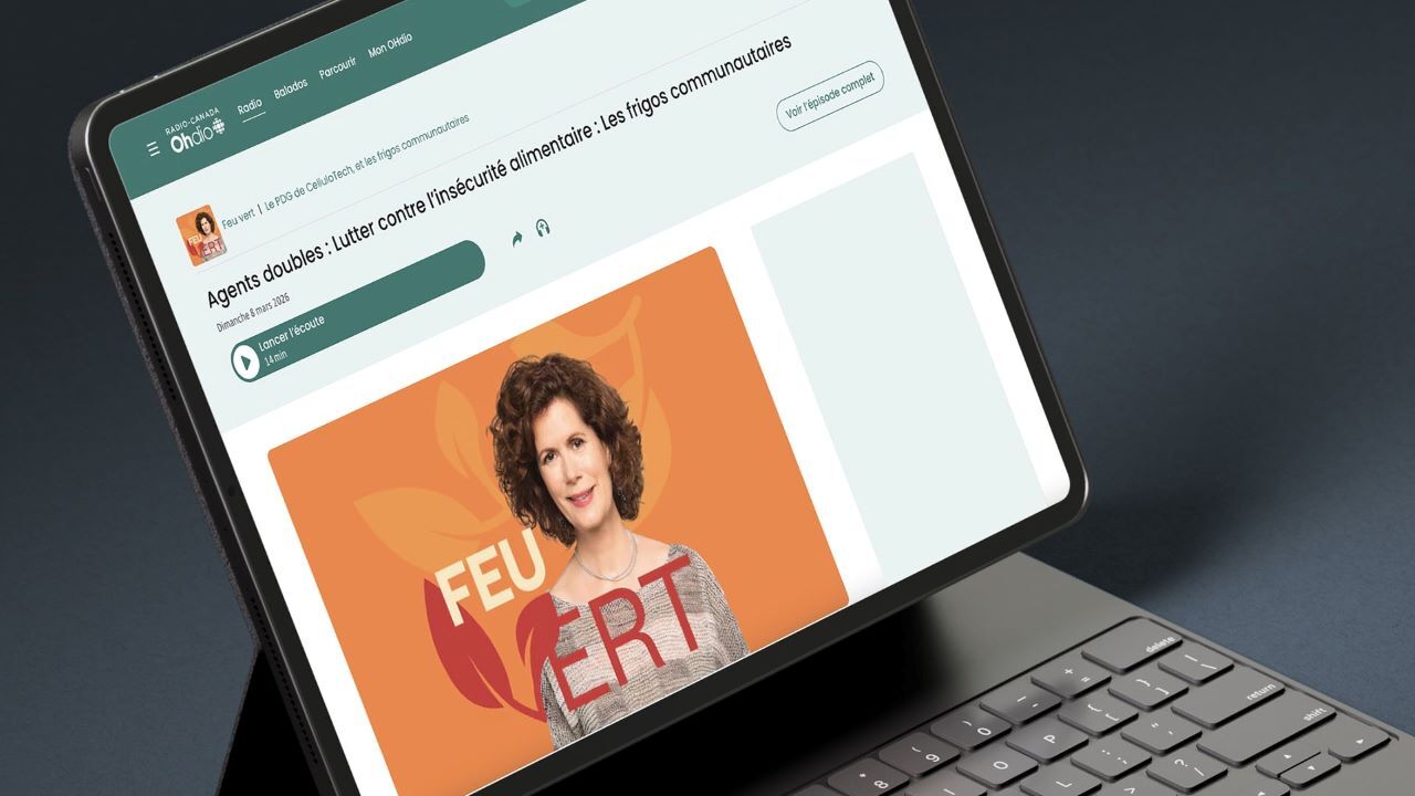 DAE_Frigo collectif_mars2026