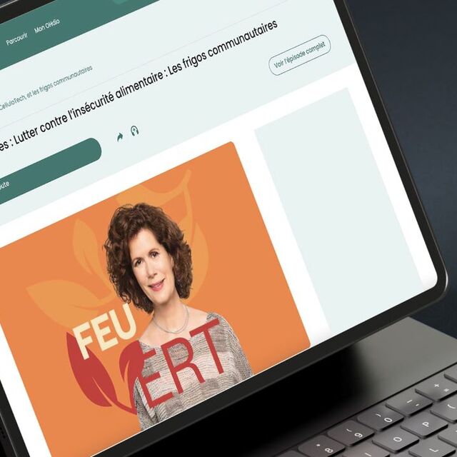 DAE_Frigo collectif_mars2026