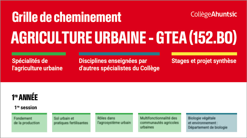 Aperçu - Cheminement Agriculture urbaine