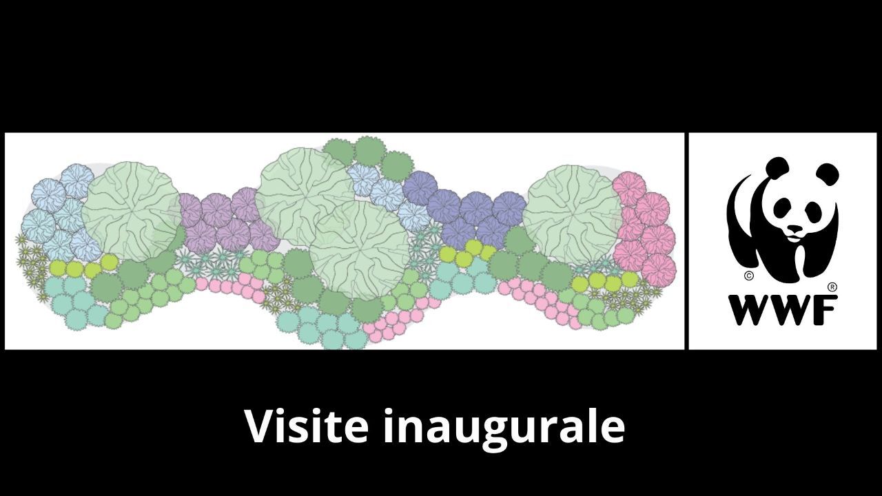 DAE_Enviro_Inauguration jardin bloc A_A26