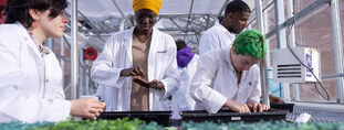 Agriculture urbaine (Guide 2026-2027)