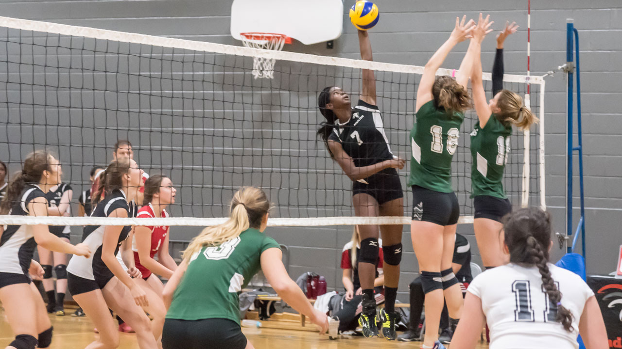 Volleyball
