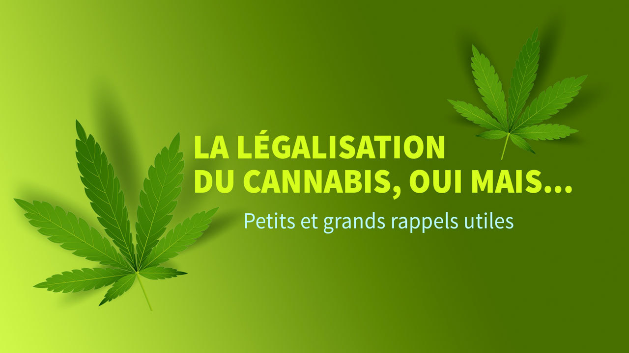 Légalisation du cannabis petits et grands rappels