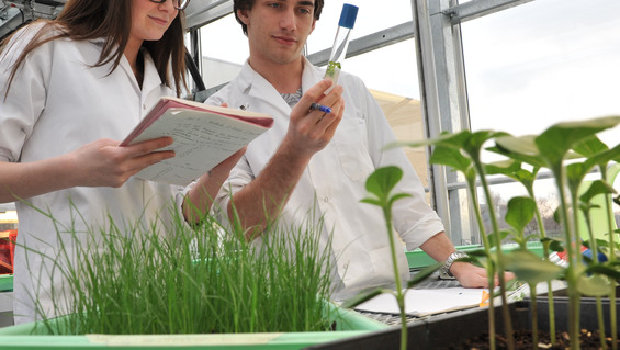 AEC_biotech_nanotech