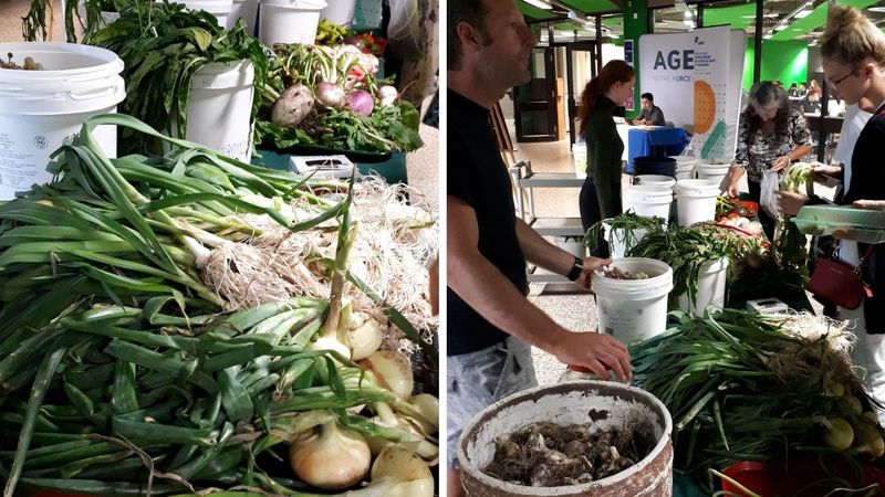 potager-vente