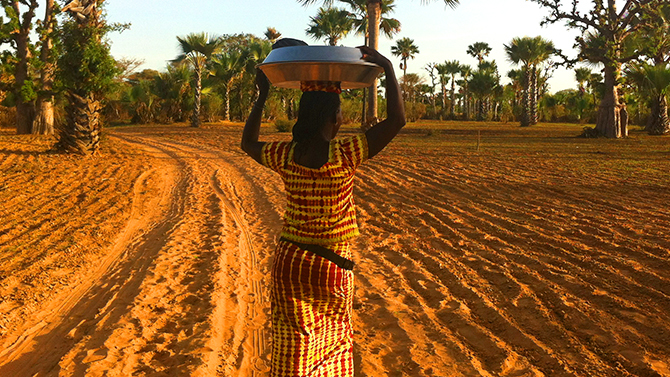 BLOC IMG INTERNATIONAL SENEGAL
