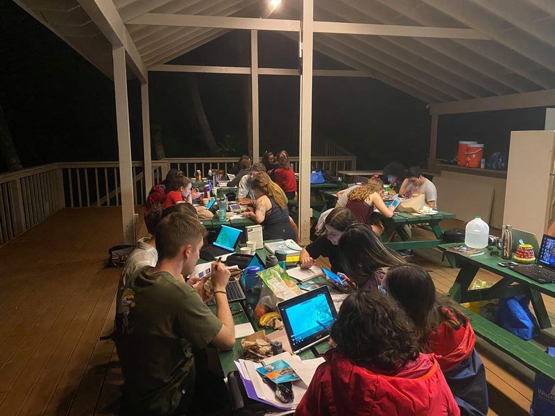 Hawaï 2020 travail extérieur soir