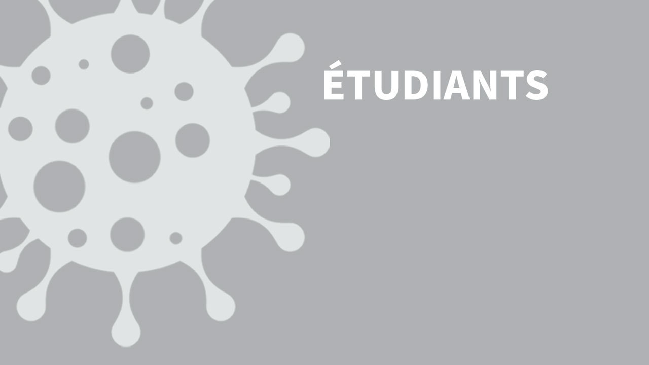 Reprise de la formation étudiants corona