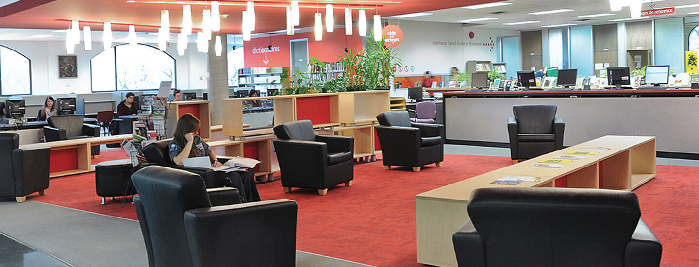BIBLIOTHEQUE CARROUSSEL 1