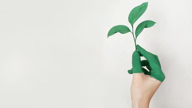 Main qui tient une tige environnement