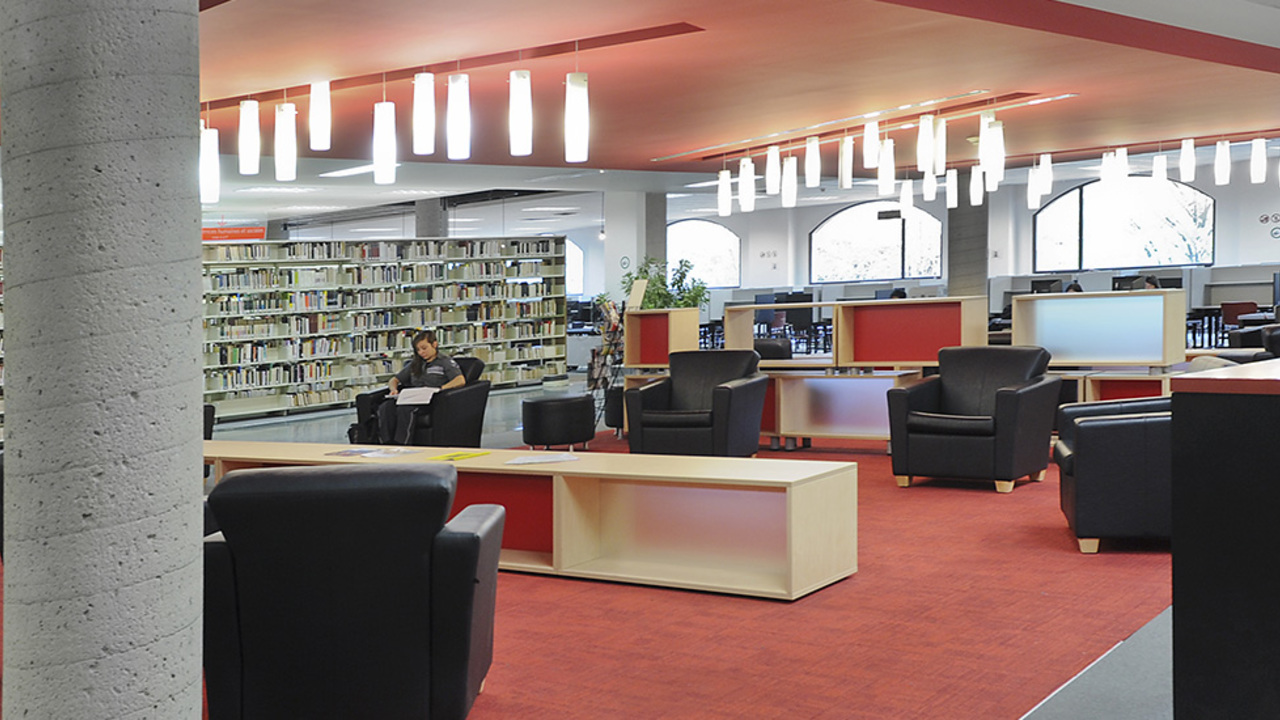 BIBLIOTHEQUE CARROUSSEL 2