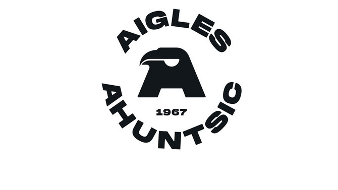 Aigles bloc de page