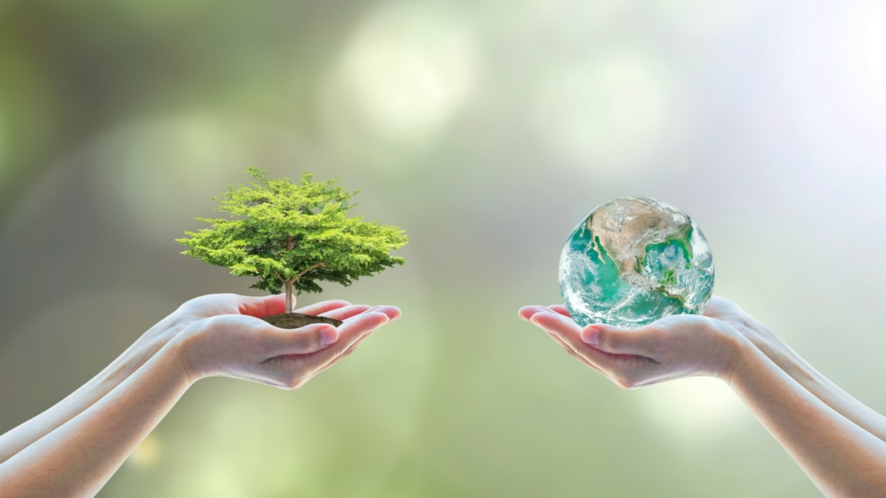 Environnement