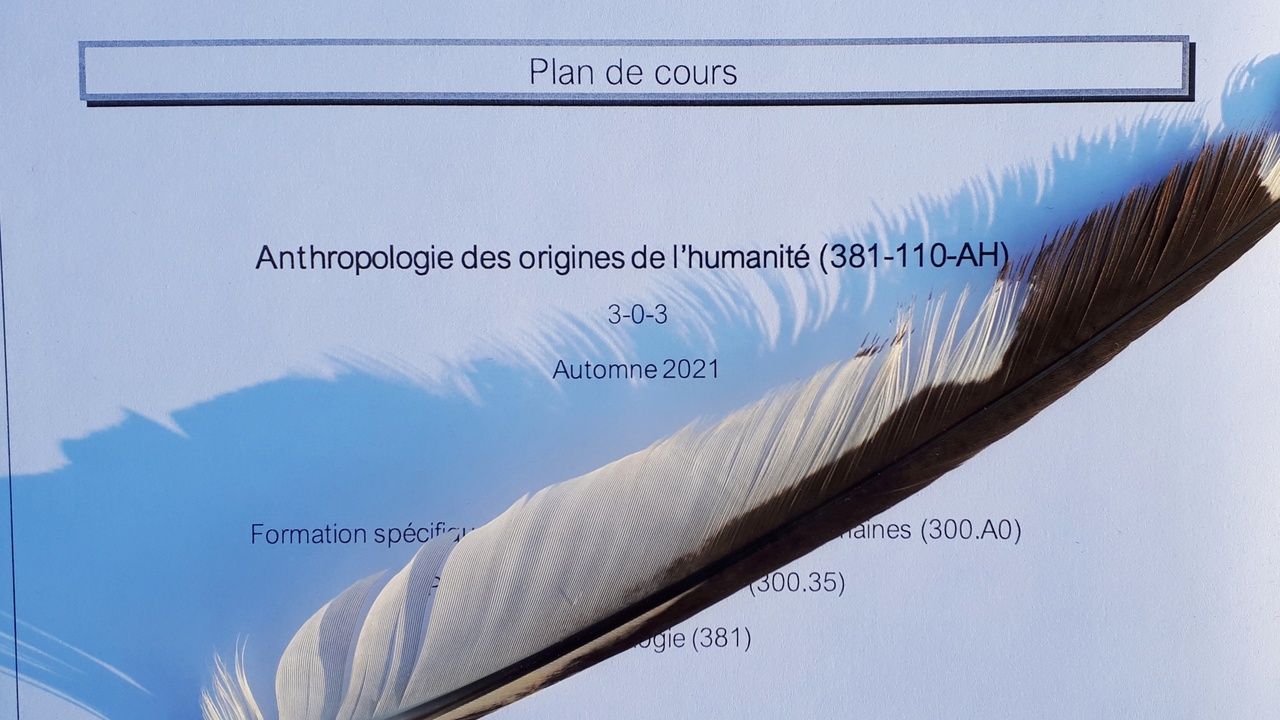 Plan de cours - Autochtonisation