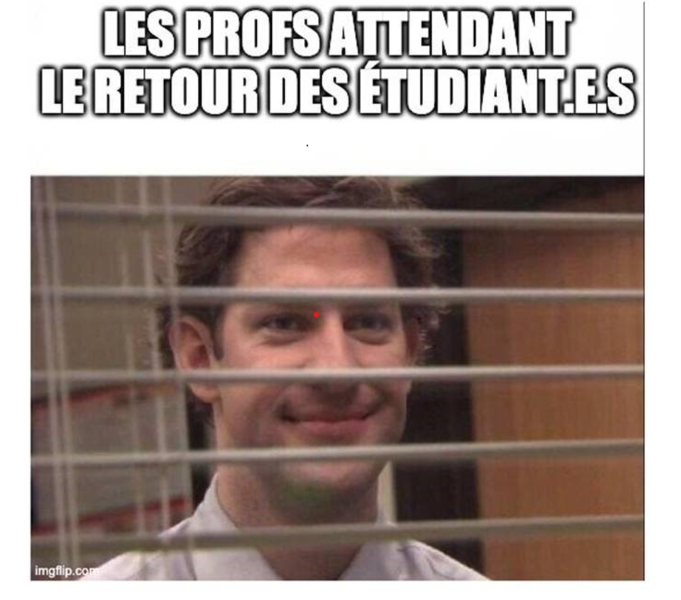 meme-prof