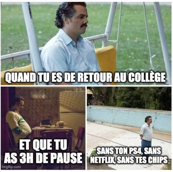 meme-activite
