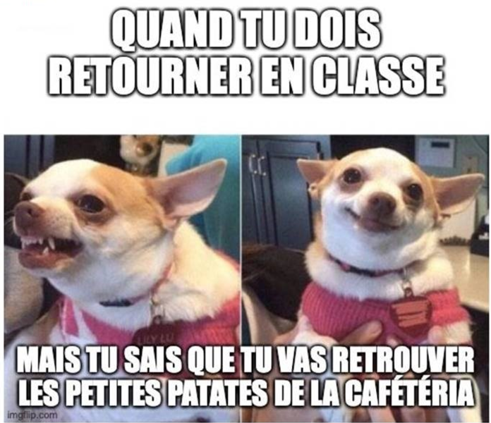 meme-cafet