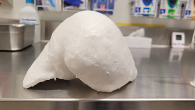 Foie - Fabrique - 1280x720