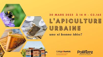apiculture urbaine