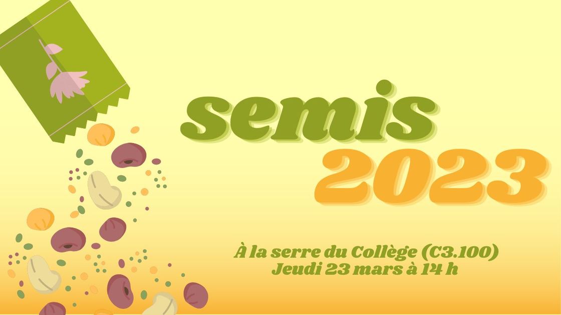 Activité de semis