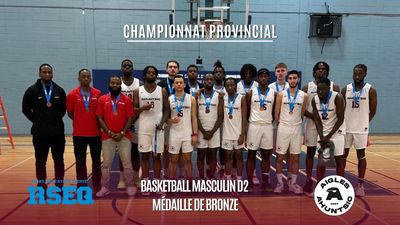 basketballMD2bronze