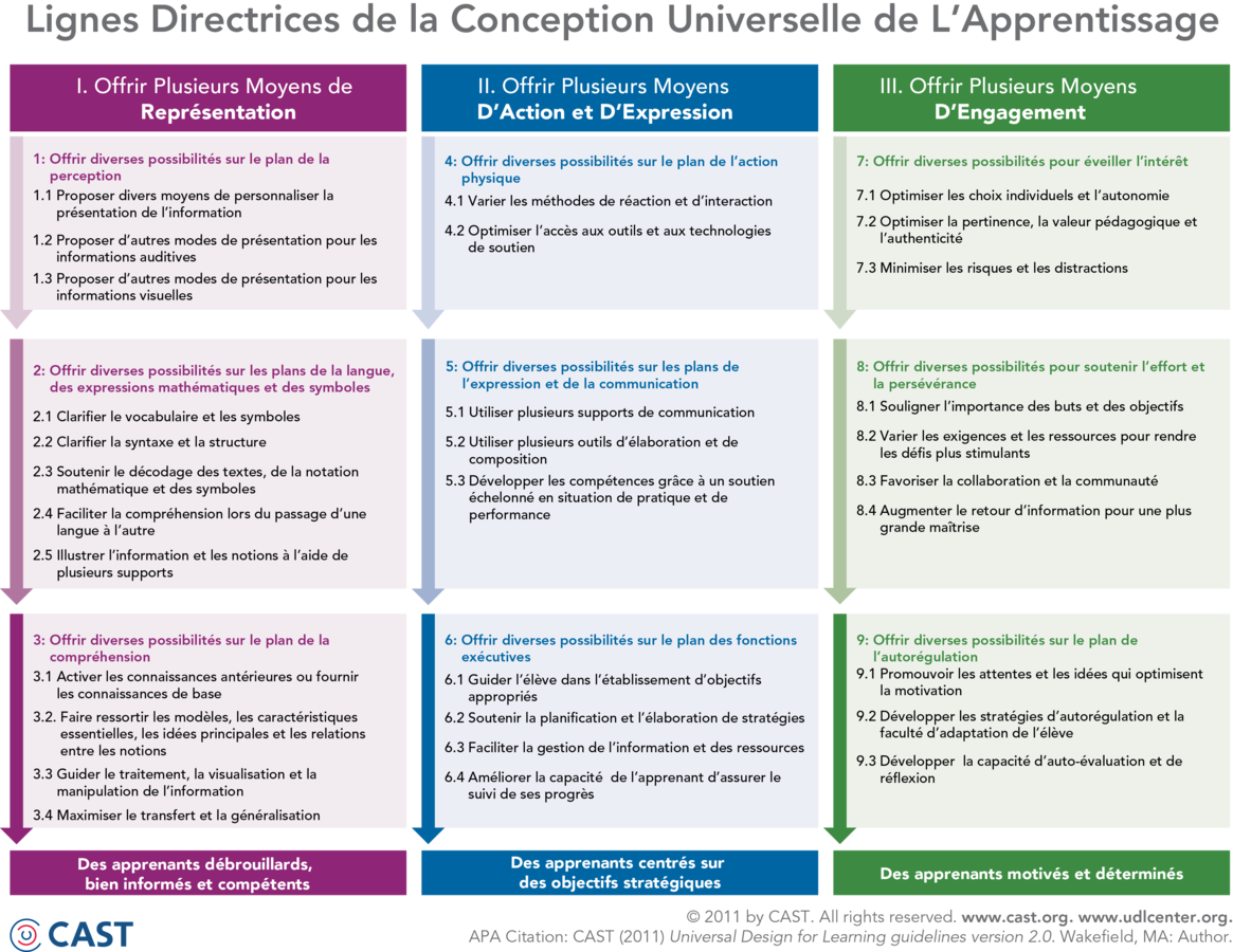 CUA_directrices